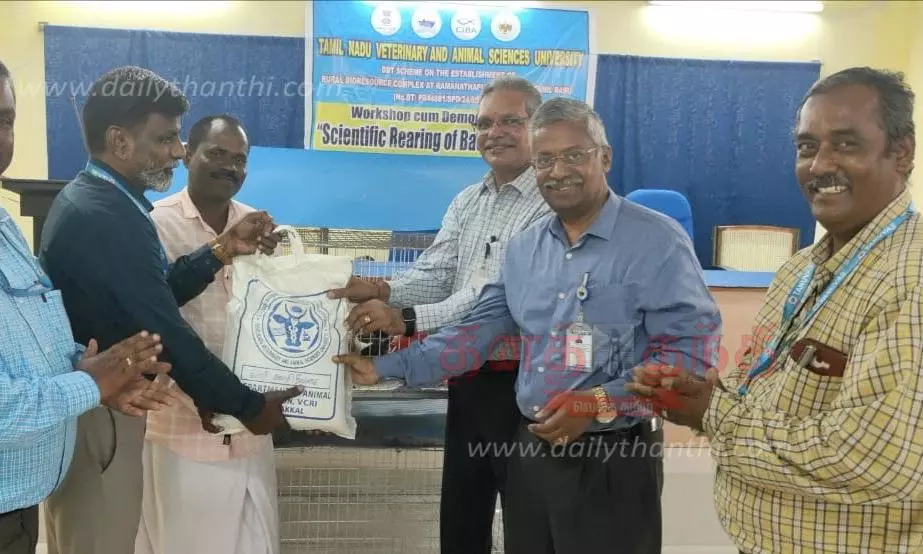 நாட்டுக்கோழி வளர்ப்பு குறித்து விழிப்புணர்வு பயிற்சி