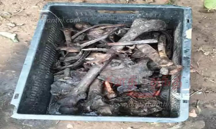 தேவகோட்டையில் கழிவறை தொட்டியை சுத்தம் செய்தபோது மனித எலும்புக்கூடு கிடந்ததால் பரபரப்பு தேவகோட்டையில் கழிவறை தொட்டியை சுத்தம் செய்தபோது மனித எலும்புக்கூடு கிடந்ததால் பரபரப்பு