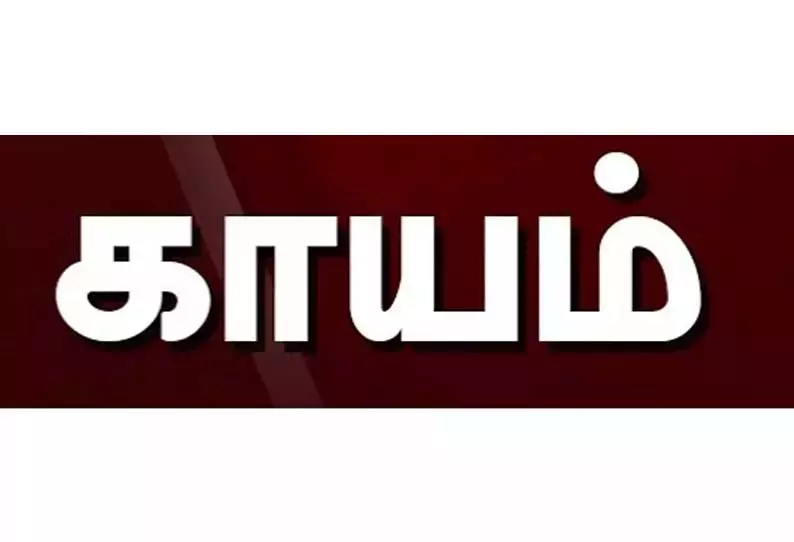 அரசு டவுன் பஸ் டயர் வெடித்து 2 பெண்கள் காயம்