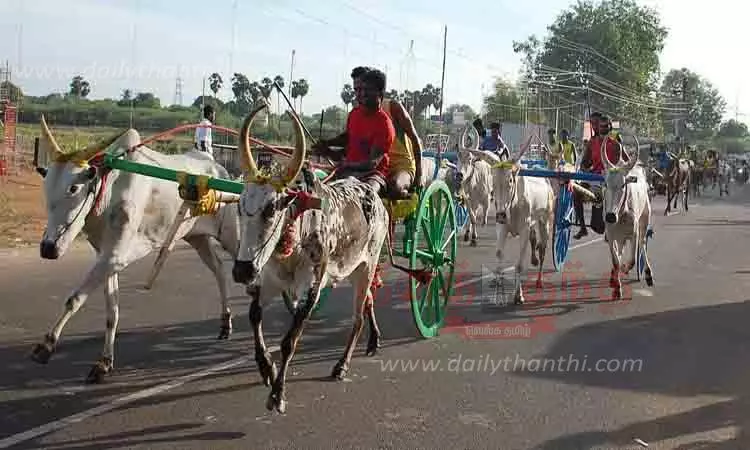 மாட்டு வண்டி பந்தயம்