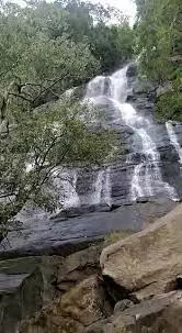 ஏற்காட்டில் தொடர் மழை:கிளியூர் நீர்வீழ்ச்சியில் தண்ணீர் ஆர்ப்பரித்து கொட்டுகிறதுசுற்றுலா பயணிகள் மகிழ்ச்சி