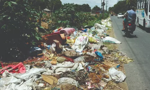 நோய் பரப்பும் மருத்துவக்கழிவுகள்...நாற்றமெடுக்கும் கோழிக்கழிவுகள்