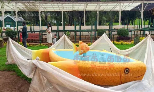 மீன் வடிவில் நீரூற்று அமைப்பு