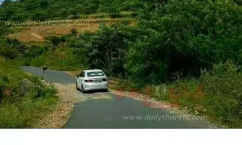 ஆனைக்கட்டி சாலையில் வாகனங்களின் வேகத்தை கட்டுப்படுத்த நடவடிக்கை