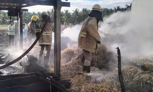 மாட்டு கொட்டகையில் பயங்கர தீ; கன்றுக்குட்டி, ஆடுகள் பலி மாட்டு கொட்டகையில் பயங்கர தீ; கன்றுக்குட்டி, ஆடுகள் பலி