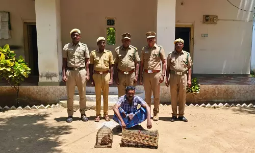 கவுதாரி வேட்டையாடியவருக்கு அபராதம்