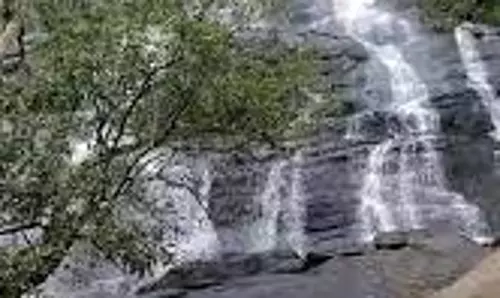 ஏற்காட்டில் தொடர் மழை:கிளியூர் நீர்வீழ்ச்சியில் தண்ணீர் ஆர்ப்பரித்து கொட்டுகிறதுசுற்றுலா பயணிகள் மகிழ்ச்சி