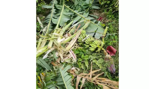 குட்டியுடன் காட்டு யானைகள் அட்டகாசம்