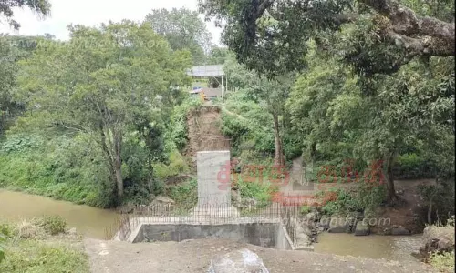 கிடப்பில் போடப்பட்ட பாலம் கட்டும் பணி