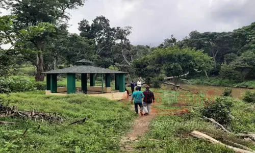 மலர் செடிகள் நடவு செய்து அழகுபடுத்தப்படுமா?