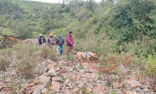 2 புலிகள் விஷம் வைத்து கொல்லப்பட்டதா?