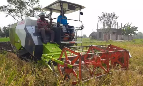 நெல் கொள்முதல் நெல் கொள்முதல்