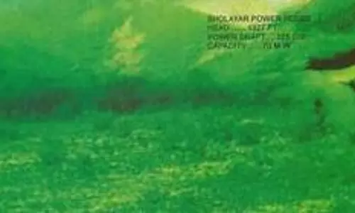 காட்டு யானைகள் நடமாட்டம் அதிகரிப்பு காட்டு யானைகள் நடமாட்டம் அதிகரிப்பு