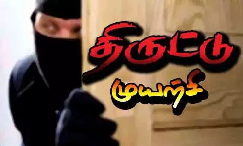 பெரியகுளம் அருகேகல்லூரி பேராசிரியை வீட்டில் திருட முயற்சி