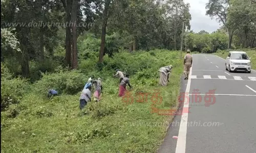 முதுமலையில் சாலையோர புதர்கள் அகற்றம்