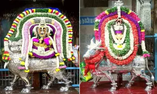 சிம்ம வாகனத்தில் விநாயகர்