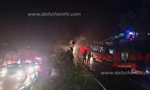 திம்பம் மலைப்பாதையில் சரக்கு வேன் கவிழ்ந்து விபத்து; போக்குவரத்து பாதிப்பு