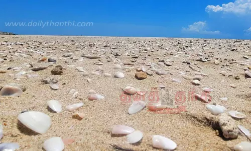 ஆற்றங்கரை கடற்கரையில் குவிந்து கிடக்கும் சங்கு, சிப்பிகள்