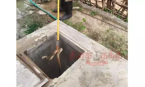 தண்ணீர் தொட்டியில் விழுந்த நல்ல பாம்பு பிடிபட்டது