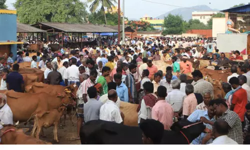 பொய்கை வாரச்சந்தையில் விற்பனைக்கு குவிந்த மாடுகள்