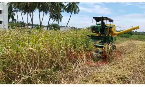 எந்திரம் மூலம் சோளம் அறுவடை