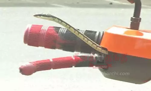 மோட்டார் சைக்கிளில் புகுந்த பாம்பால் பரபரப்பு மோட்டார் சைக்கிளில் புகுந்த பாம்பால் பரபரப்பு