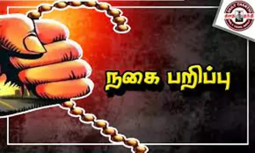 முகத்தில் மிளகாய் பொடி தூவிபெண்ணிடம் 9 பவுன் நகை பறிப்பு
