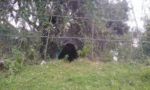 கோத்தகிரி காந்தி மைதானத்தில்  புதர்சூழ்ந்த தடுப்பு வேலிகள்-சீரமைக்க விளையாட்டு வீரர்கள் கோரிக்கை