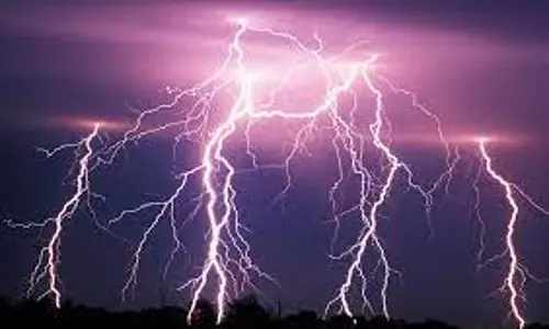 நல்லம்பள்ளி அருகேமின்னல் தாக்கி மாடு செத்தது நல்லம்பள்ளி அருகேமின்னல் தாக்கி மாடு செத்தது