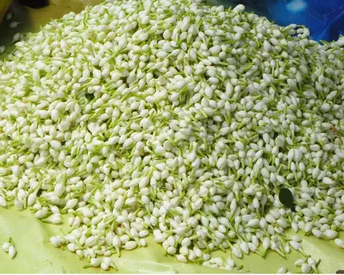 காட்டன் மார்க்கெட்டில் இருந்த பூ கடைகள் இடமாற்றம்