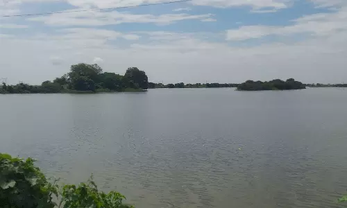 தினத்தந்தி செய்தி எதிரொலி:நீர்வரத்து வாய்க்கால் அடைப்பு அகற்றம் :ஏரி நிரம்பியதால் விவசாயிகள் மகிழ்ச்சி