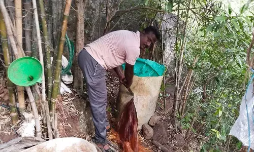 கல்வராயன்மலையில்சாராய ஊறல் அழிப்பு கல்வராயன்மலையில்சாராய ஊறல் அழிப்பு