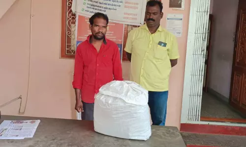 12 கிலோ கஞ்சா கடத்திய ஆந்திர வாலிபர் கைது