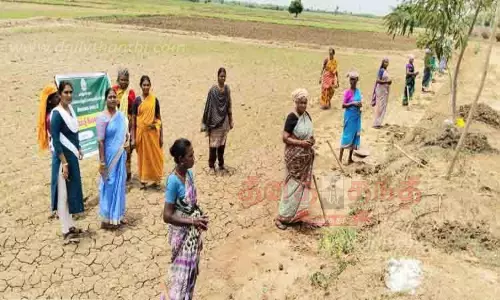 தோட்டக்கலைத்துறை சார்பில் பனை விதைகள் நடவு