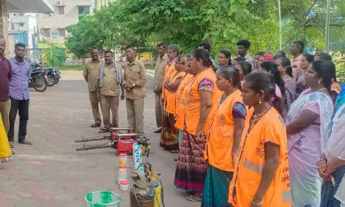 டெங்கு கொசு ஒழிப்பு பணிக்காக 250 பணியாளர்கள் நியமனம்