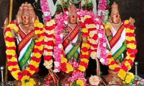 அமணலிங்கேசுவரர் கோவிலில் ஆவணிமாத அமாவாசை விழா