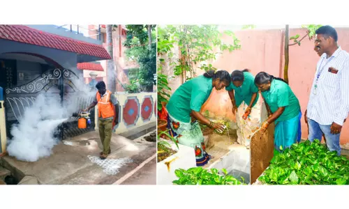 வேலூரில் குழந்தை உள்பட 2 பேருக்கு டெங்கு காய்ச்சல்