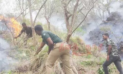 சிவகிரி வனப்பகுதியில் தீவிபத்து சிவகிரி வனப்பகுதியில் தீவிபத்து