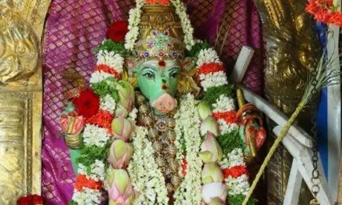 வாராகி அம்மனுக்கு சிறப்பு பூஜை வாராகி அம்மனுக்கு சிறப்பு பூஜை