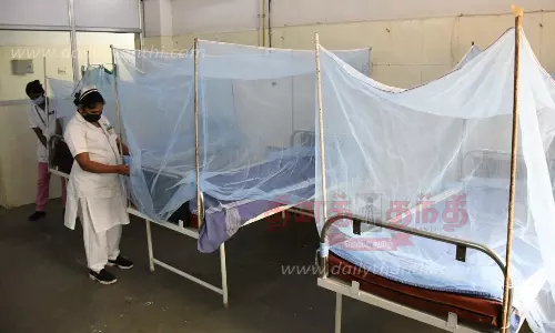 அரசு ஆஸ்பத்திரியில் டெங்கு காய்ச்சல் சிகிச்சைக்கு சிறப்பு வார்டுகள் தயார்