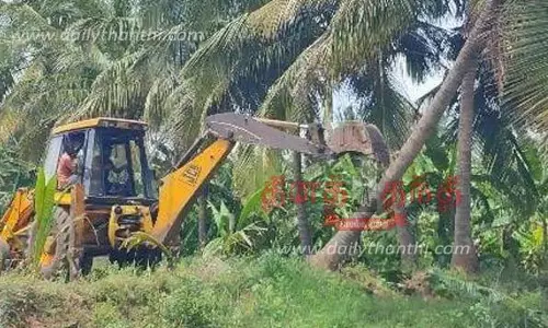 கோபி அருகே ஆக்கிரமித்து நடப்பட்ட தென்னை- வாழை மரங்கள் அகற்றம்