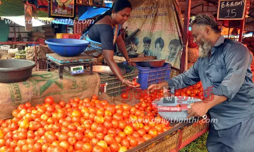 தக்காளி கிலோ ரூ.15-க்கு விற்பனை- அரசு கொள்முதல் செய்ய விவசாயிகள் வேண்டுகோள்
