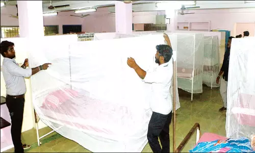டெங்கு பரவல் எதிரொலி: 3 அரசு ஆஸ்பத்திரிகளில் தனிவார்டு அமைப்பு