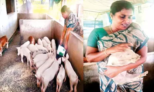 புதிய முயற்சிகளுக்கு தயங்காதீர்கள்