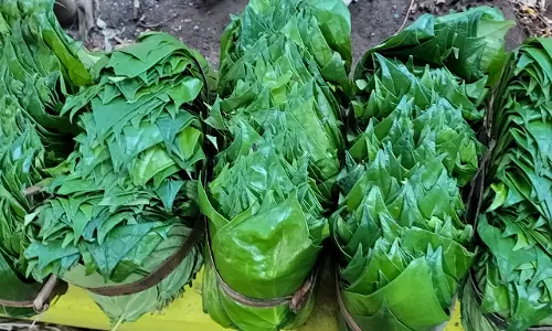 சுப நிகழ்ச்சிகள், கோவில் விழாக்களில் பிளாஸ்டிக் வெற்றிலைக்கு  தடை விதிக்க வேண்டும்: உடன்குடி வியாபாரிகள் கோரிக்கை