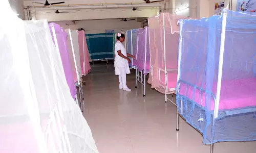 டெங்கு காய்ச்சலுக்கு சிகிச்சை அளிக்க சிறப்பு வார்டு தயார்