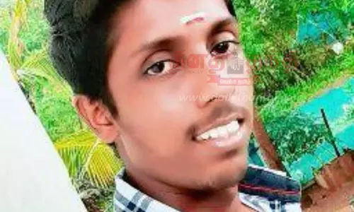 ஆற்றில் மூழ்கி வாலிபர் மாயம்