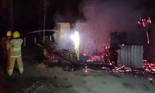 3 ஆடுகள் கருகி பலி