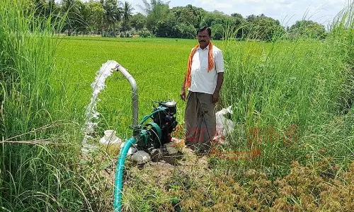 குறுவை பயிரை காப்பாற்றும்  விவசாயிகள்