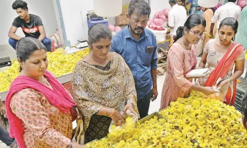 மல்லிகைப்பூ கிலோ ரூ.1200-க்கு விற்பனை